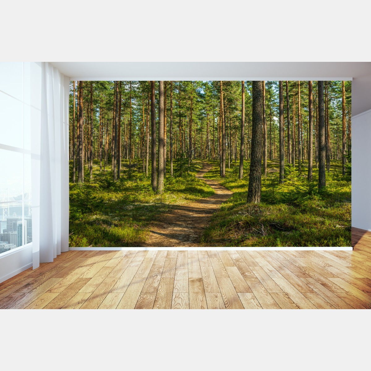 Wall mural sunlit pine forest trail