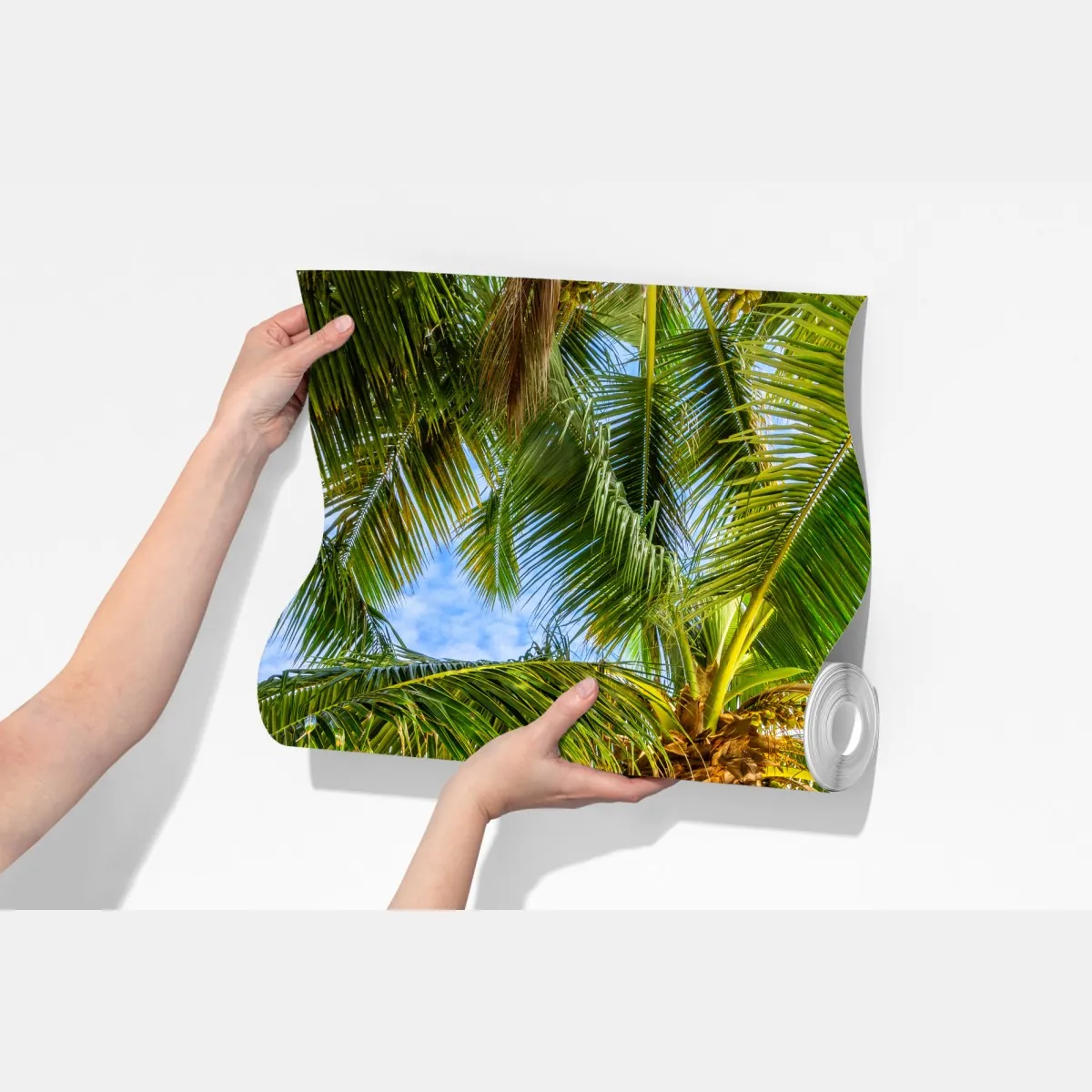 Fototapeta tropikalna palma na białej plaży – Wallissimo® Fototapeta tropikalna palma na białej plaży – Wallissimo®