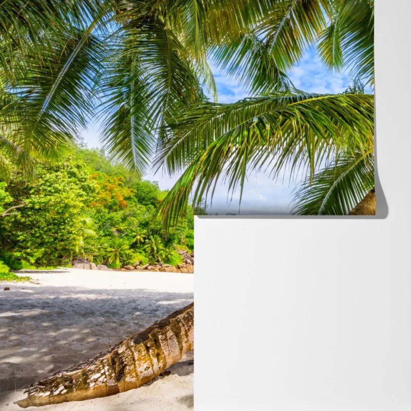 Fototapeta tropikalna palma na białej plaży – Wallissimo® Fototapeta tropikalna palma na białej plaży – Wallissimo®