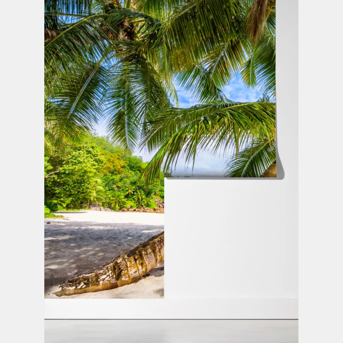 Fototapeta tropikalna palma na białej plaży – Wallissimo® Fototapeta tropikalna palma na białej plaży – Wallissimo®