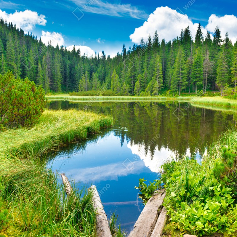 Fototapeta spokojne jezioro leśne z drewnianym mostem – Wallissimo® Fototapeta spokojne jezioro leśne z drewnianym mostem – Wallissimo®