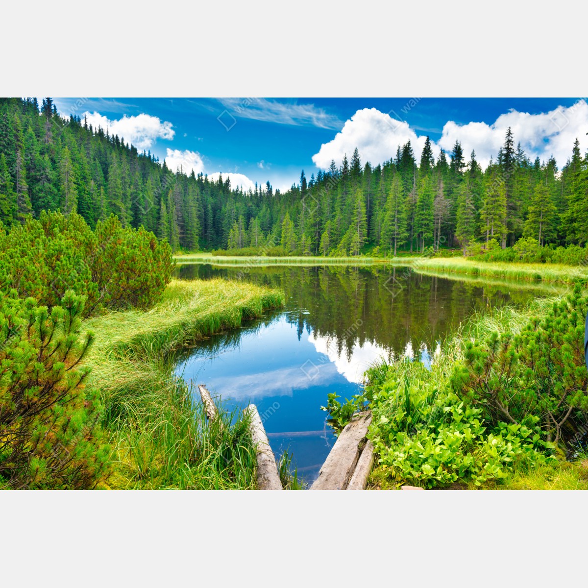 Fototapeta spokojne jezioro leśne z drewnianym mostem – Wallissimo® Fototapeta spokojne jezioro leśne z drewnianym mostem – Wallissimo®