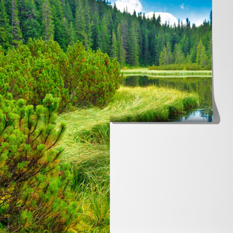 Fototapeta spokojne jezioro leśne z drewnianym mostem – Wallissimo® Fototapeta spokojne jezioro leśne z drewnianym mostem – Wallissimo®