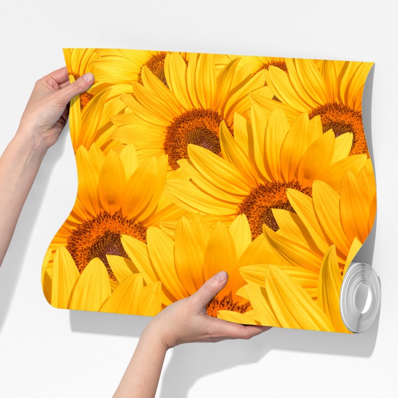 Fototapeta złote pole słoneczników – Wallissimo® Fototapeta złote pole słoneczników – Wallissimo®