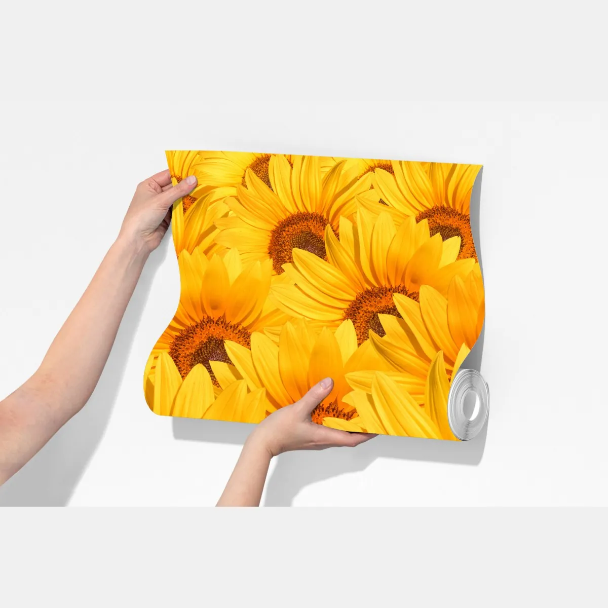 Fototapeta złote pole słoneczników – Wallissimo® Fototapeta złote pole słoneczników – Wallissimo®