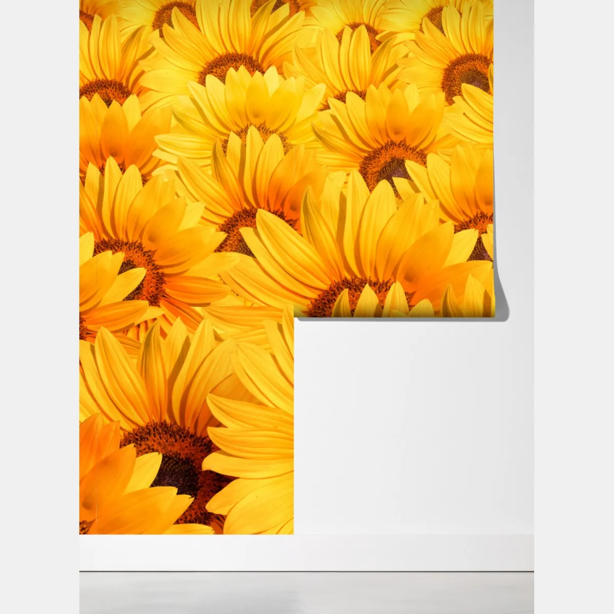 Fototapeta złote pole słoneczników – Wallissimo® Fototapeta złote pole słoneczników – Wallissimo®