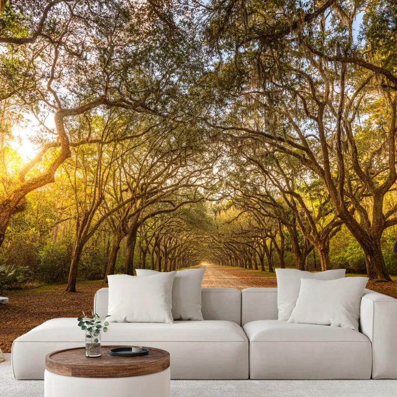 Fototapeta słoneczna aleja starych dębów przy Savannah