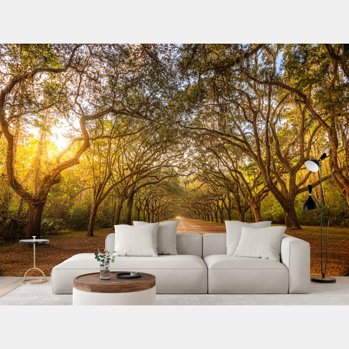 Wall mural sunlit oak avenue near Savannah