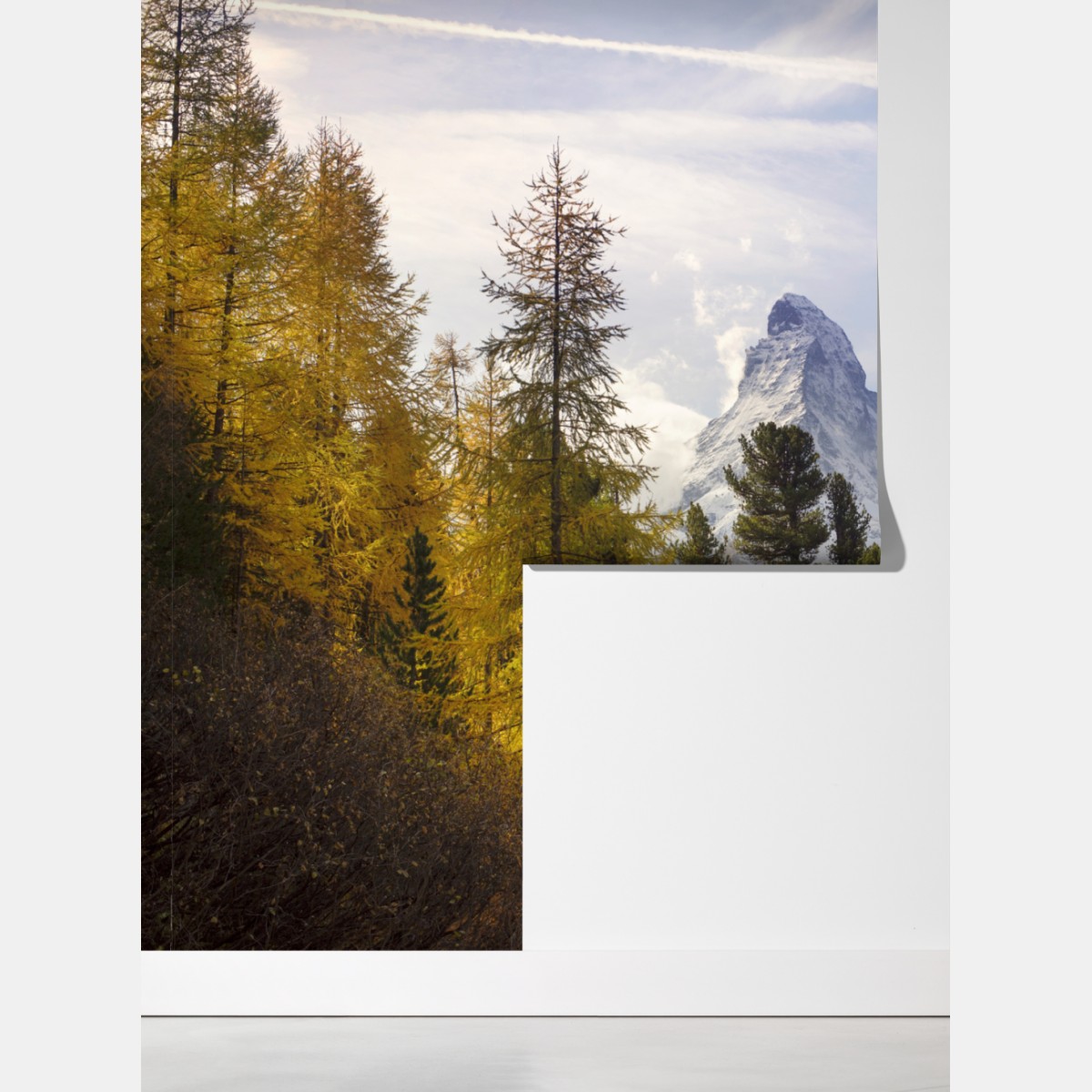 Fototapeta złote modrzewie i Matterhorn – Wallissimo® Fototapeta złote modrzewie i Matterhorn – Wallissimo®