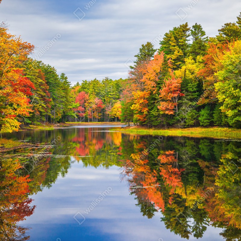Fototapeta jesienne odbicia w Nowej Anglii – Wallissimo® Fototapeta jesienne odbicia w Nowej Anglii – Wallissimo®