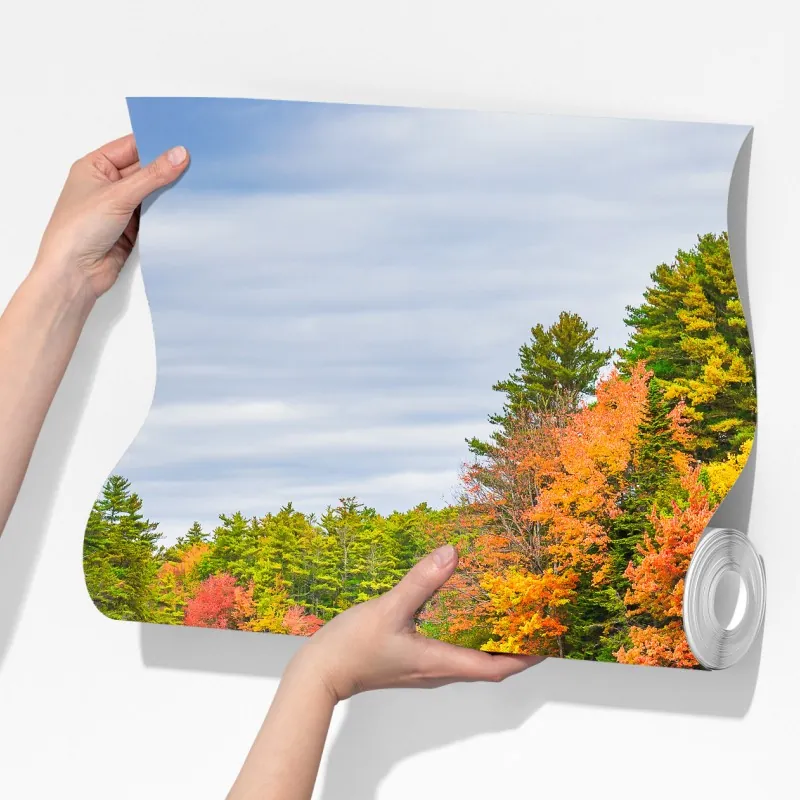 Fototapeta jesienne odbicia w Nowej Anglii – Wallissimo® Fototapeta jesienne odbicia w Nowej Anglii – Wallissimo®