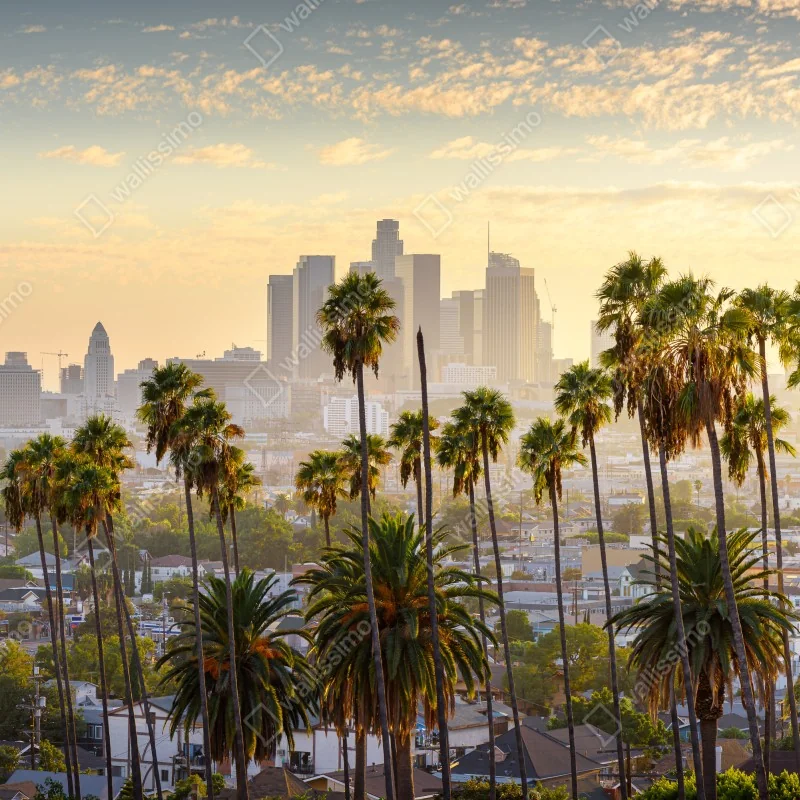 Fototapeta złota panorama Los Angeles z palmami – Wallissimo® Fototapeta złota panorama Los Angeles z palmami – Wallissimo®