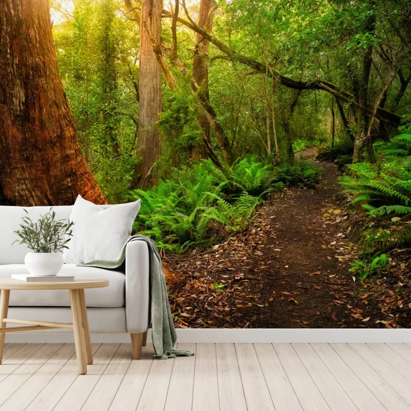 Fototapeta starożytny las deszczowy w Tasmanii