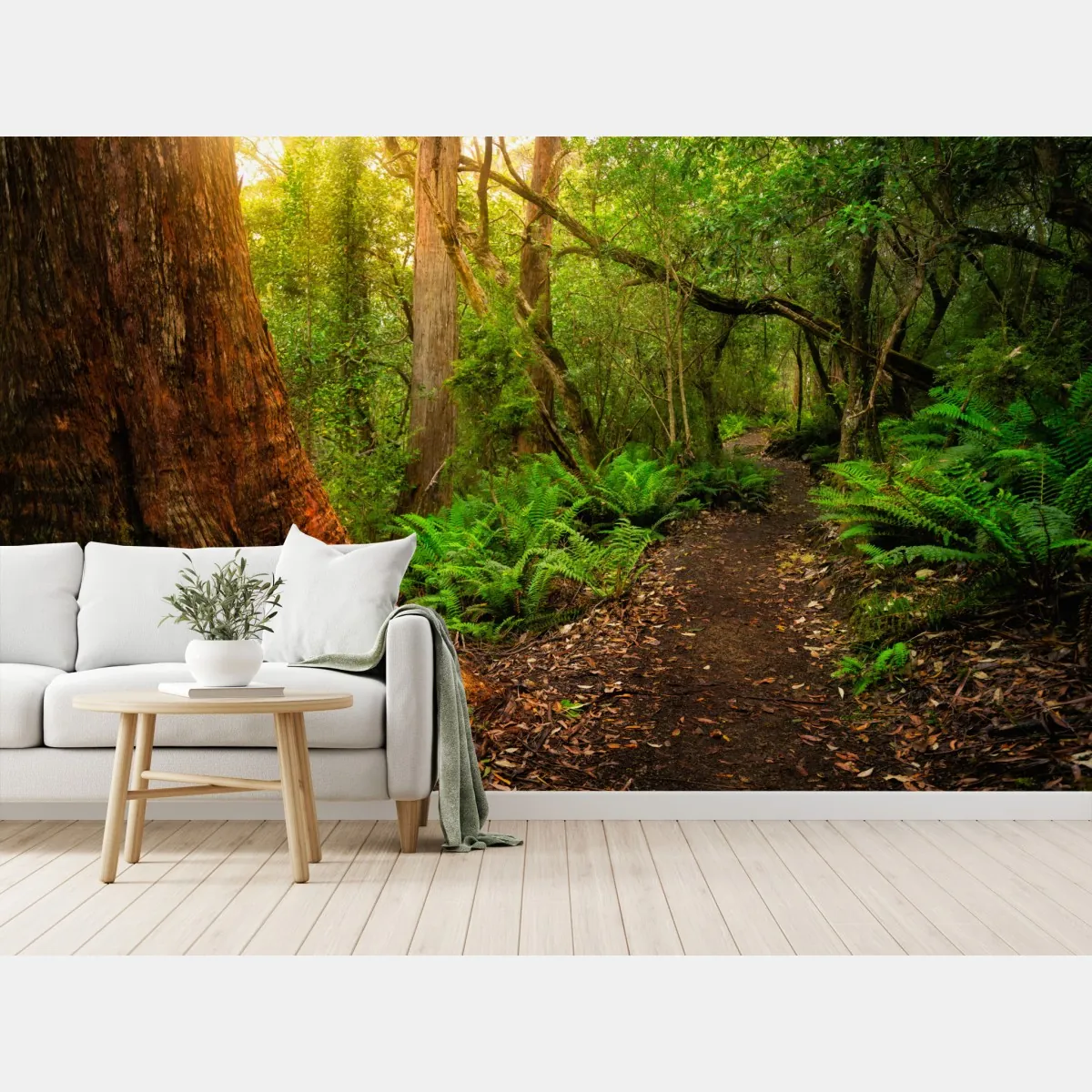 Fototapeta starożytny las deszczowy w Tasmanii – Wallissimo® Fototapeta starożytny las deszczowy w Tasmanii – Wallissimo®