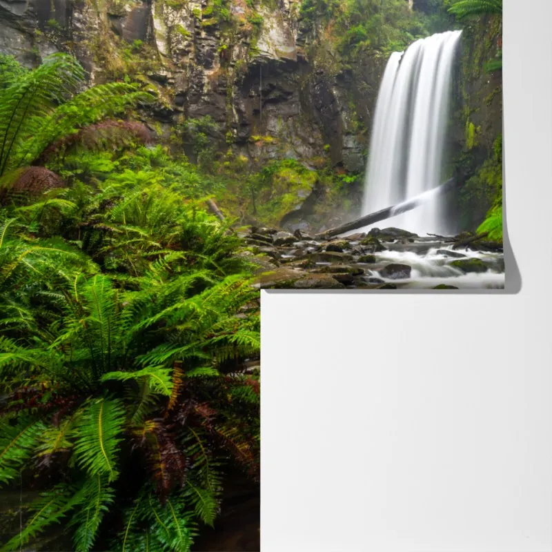 Fototapeta lśniący wodospad w lesie pełnym paproci – Wallissimo® Fototapeta lśniący wodospad w lesie pełnym paproci – Wallissimo®