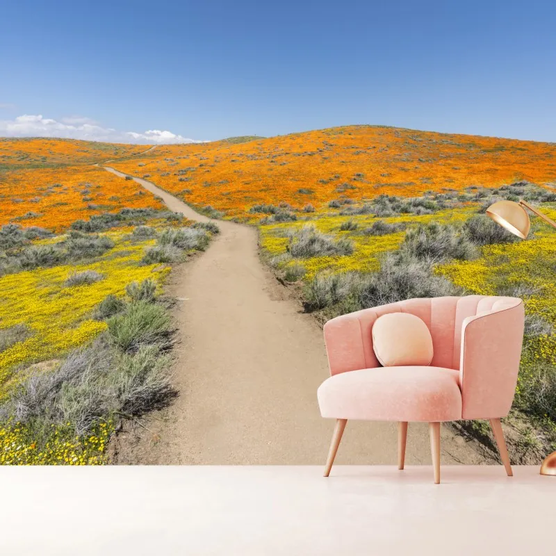 Fototapeta ścieżka przez makowy super bloom w Południowej Kalifornii