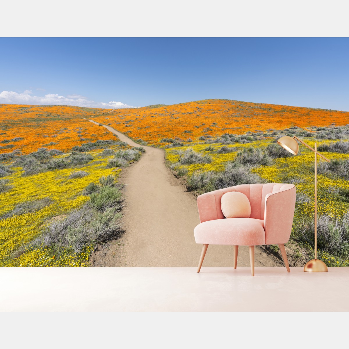 Wall mural path through poppy super bloom in Southern California