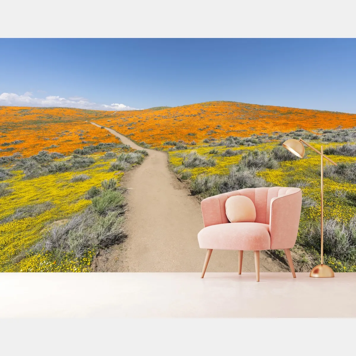 Fototapeta ścieżka przez makowy super bloom w Południowej Kalifornii – Wallissimo® Fototapeta ścieżka przez makowy super bloom w Południowej Kalifornii – Wallissimo®