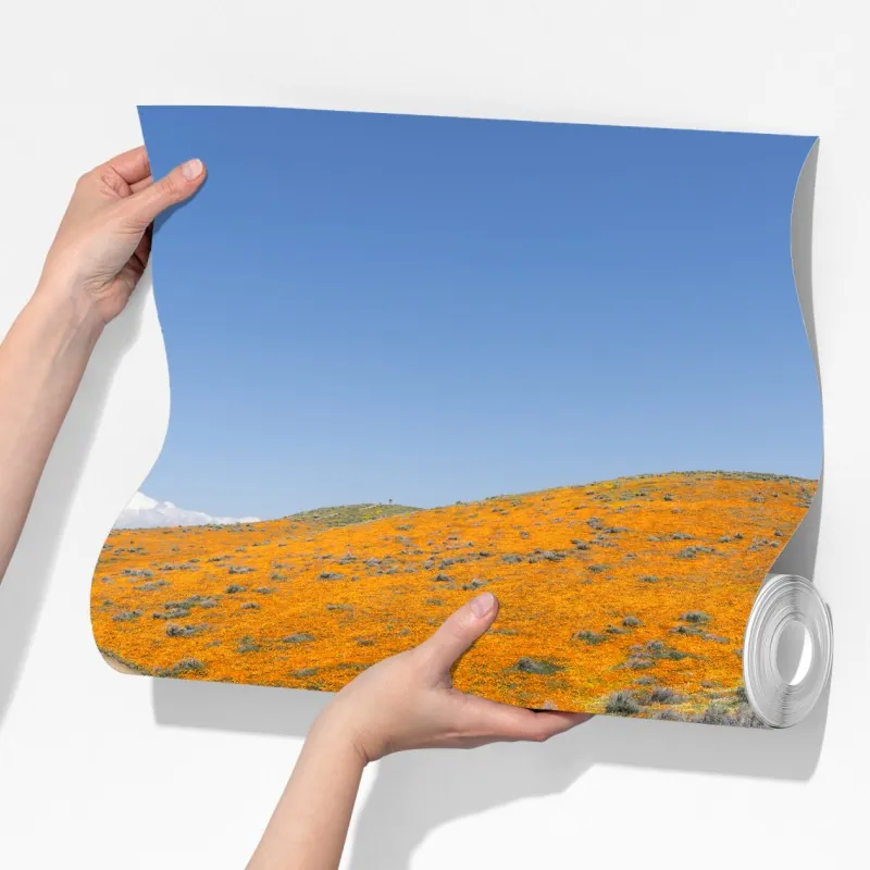 Fototapeta ścieżka przez makowy super bloom w Południowej Kalifornii – Wallissimo® Fototapeta ścieżka przez makowy super bloom w Południowej Kalifornii – Wallissimo®