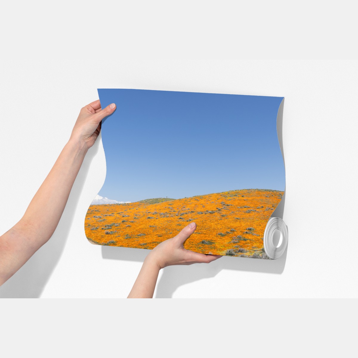 Fototapeta ścieżka przez makowy super bloom w Południowej Kalifornii – Wallissimo® Fototapeta ścieżka przez makowy super bloom w Południowej Kalifornii – Wallissimo®