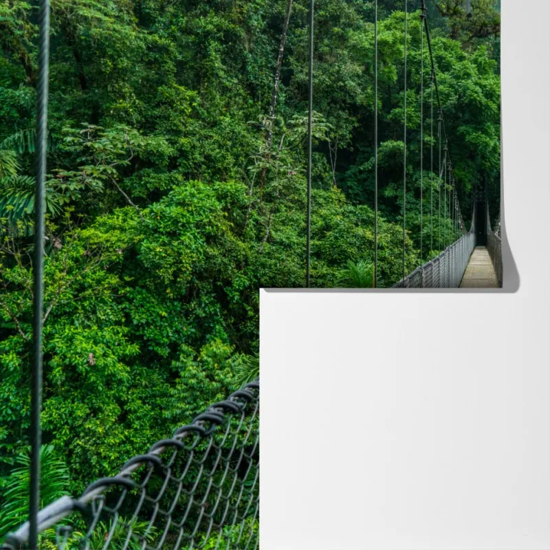 Fototapeta wiszący most w bujnej dżungli – Wallissimo® Fototapeta wiszący most w bujnej dżungli – Wallissimo®