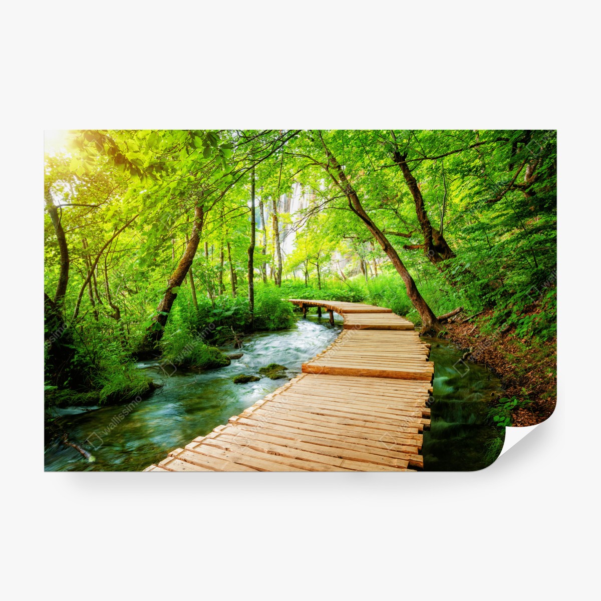 Fototapeta drewniany pomost w Plitwickich Jeziorach – Wallissimo® Fototapeta drewniany pomost w Plitwickich Jeziorach – Wallissimo®