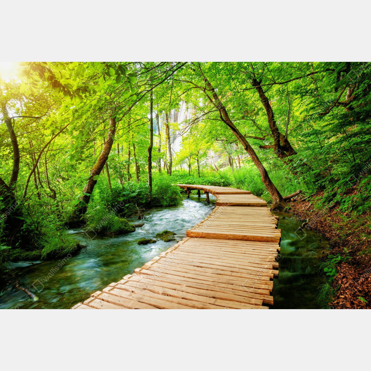 Fototapeta drewniany pomost w Plitwickich Jeziorach – Wallissimo® Fototapeta drewniany pomost w Plitwickich Jeziorach – Wallissimo®