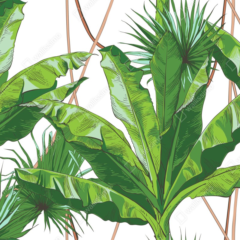 Fototapeta bujny wzór liści bananowca – Wallissimo® Fototapeta bujny wzór liści bananowca – Wallissimo®
