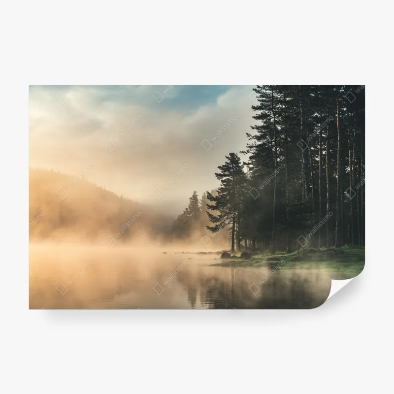 Fototapeta mglisty wschód słońca nad leśnym jeziorem