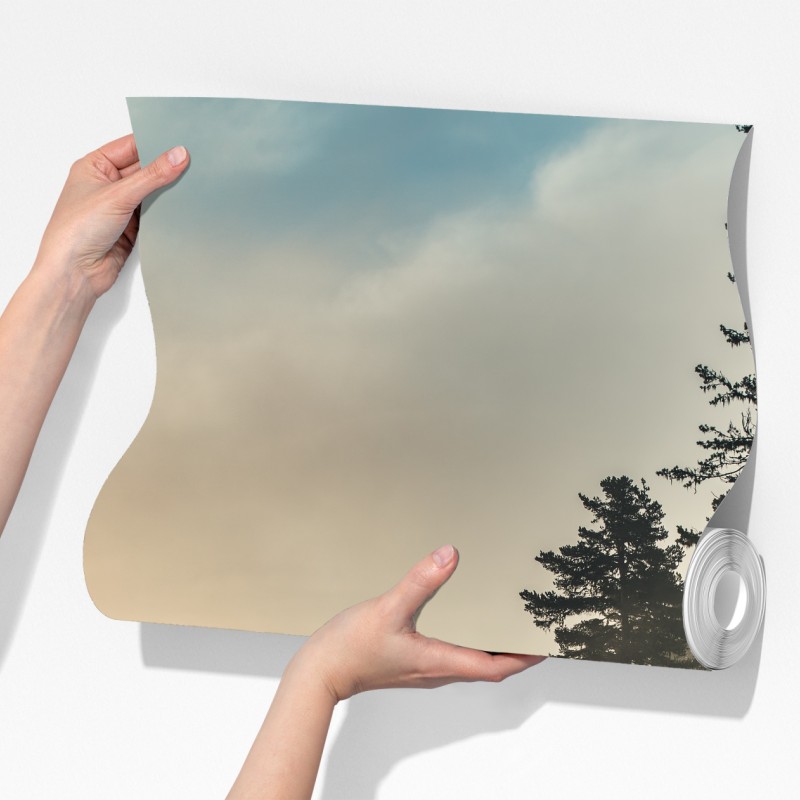 Fototapeta mglisty wschód słońca nad leśnym jeziorem – Wallissimo® Fototapeta mglisty wschód słońca nad leśnym jeziorem – Wallissimo®