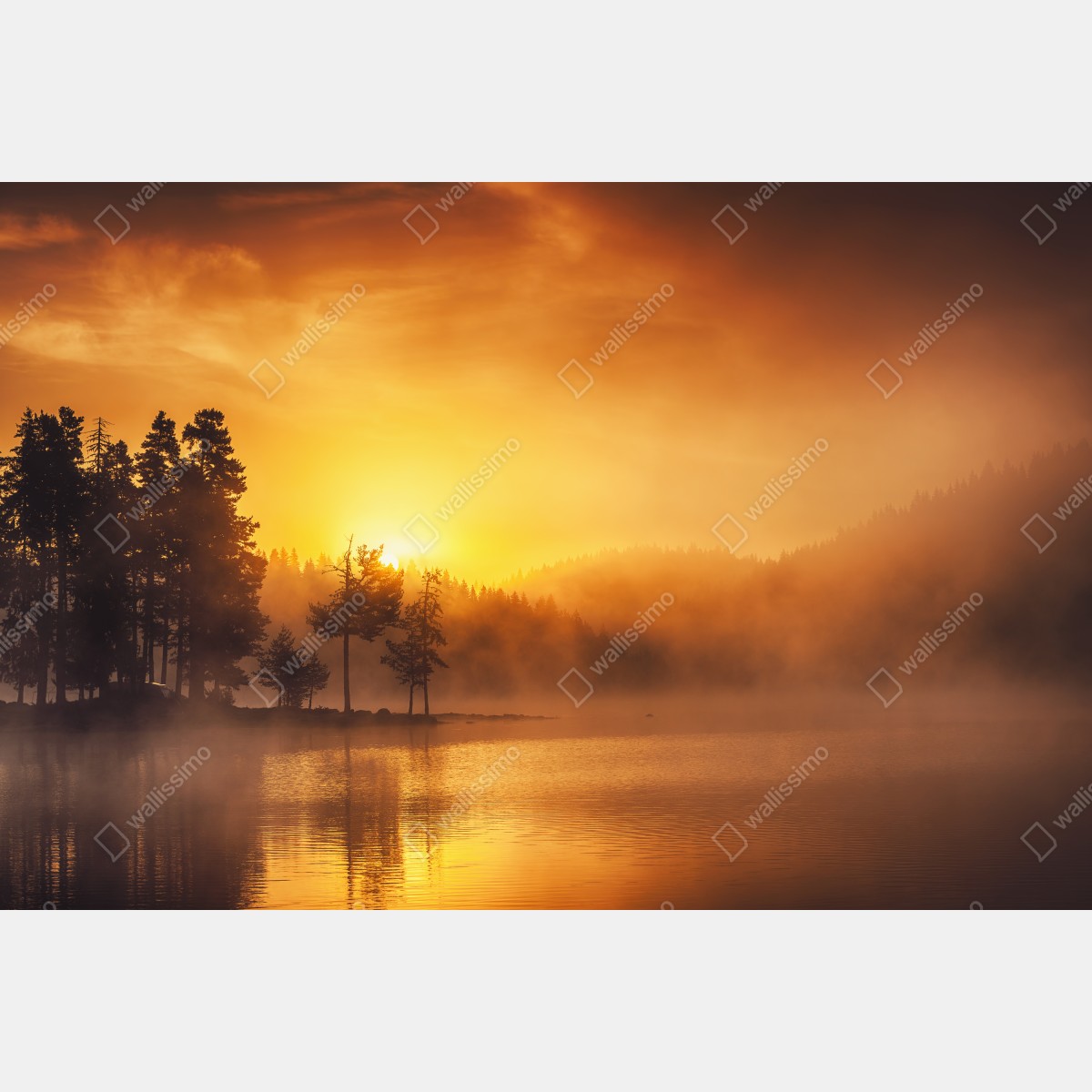 Fototapeta złoty wschód słońca nad mglistym jeziorem – Wallissimo® Fototapeta złoty wschód słońca nad mglistym jeziorem – Wallissimo®
