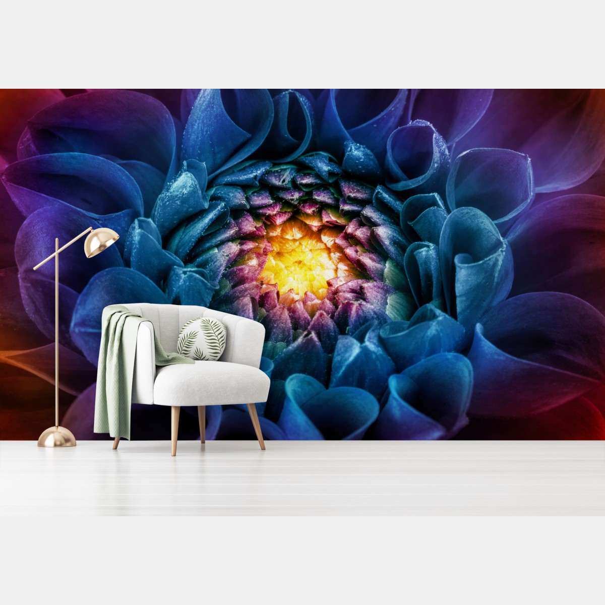 Wall mural vibrant blue chrysanthemum close-up