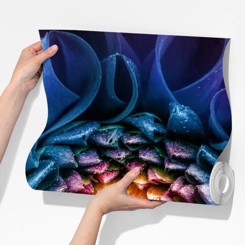 Fototapeta intensywna niebieska chryzantema z bliska – Wallissimo® Fototapeta intensywna niebieska chryzantema z bliska – Wallissimo®