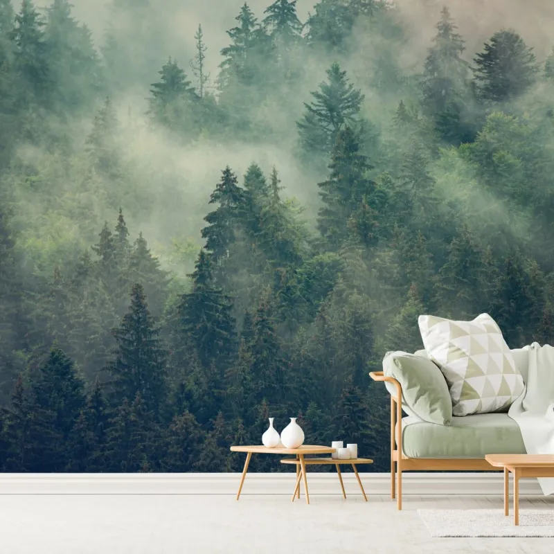 Fototapeta mglisty wieczniezielony las