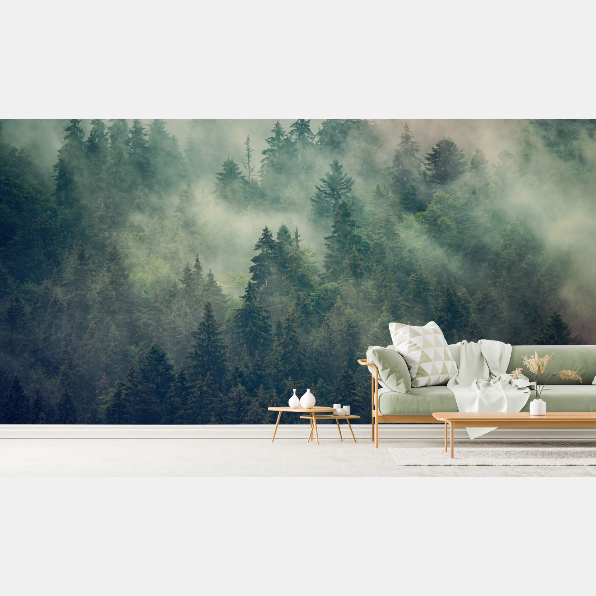 Wall mural misty evergreen forest at dawn