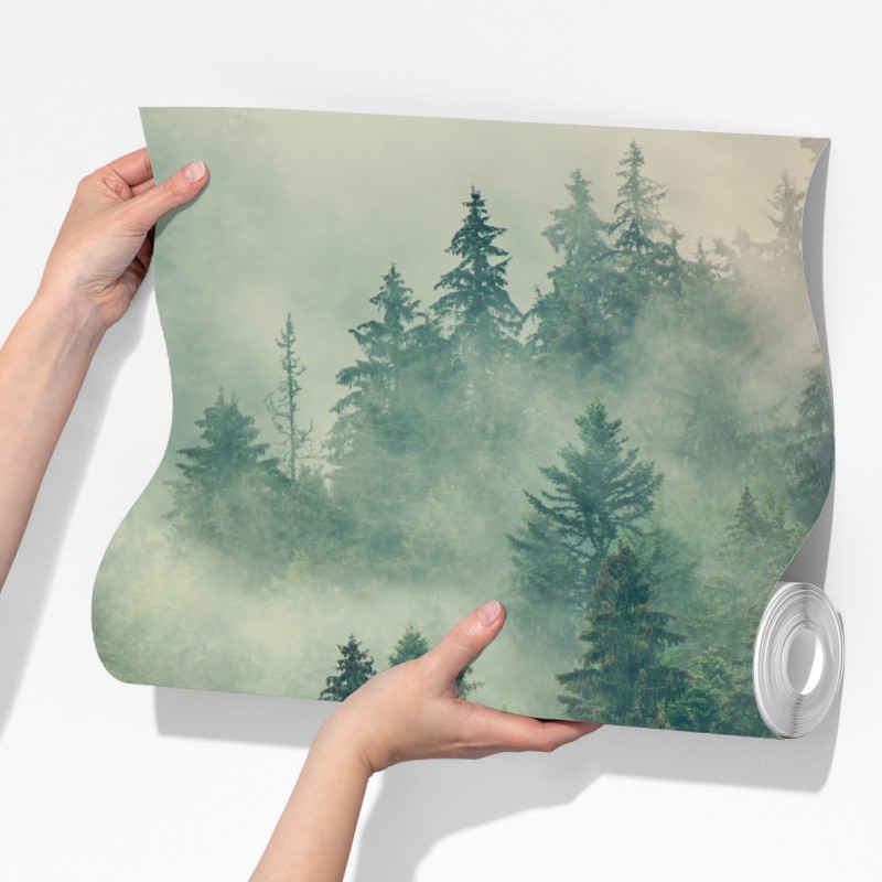 Fototapeta mglisty wieczniezielony las – Wallissimo® Fototapeta mglisty wieczniezielony las – Wallissimo®