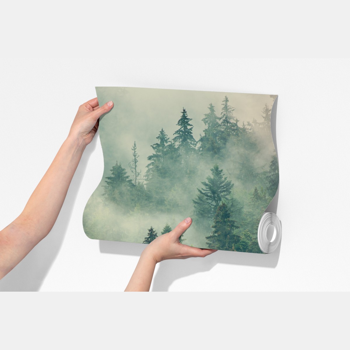 Fototapeta mglisty wieczniezielony las – Wallissimo® Fototapeta mglisty wieczniezielony las – Wallissimo®