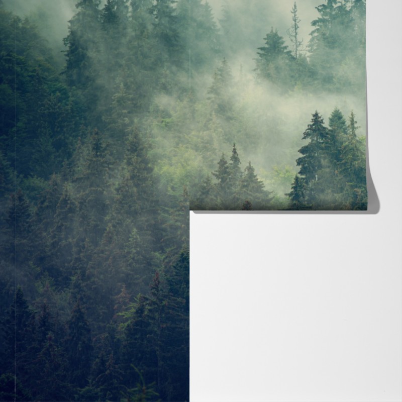 Fototapeta mglisty wieczniezielony las – Wallissimo® Fototapeta mglisty wieczniezielony las – Wallissimo®