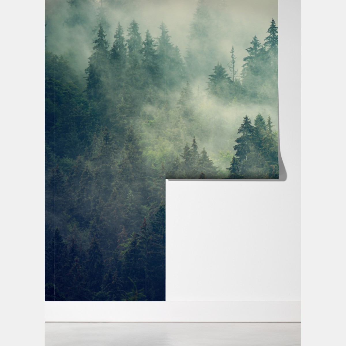 Fototapeta mglisty wieczniezielony las – Wallissimo® Fototapeta mglisty wieczniezielony las – Wallissimo®