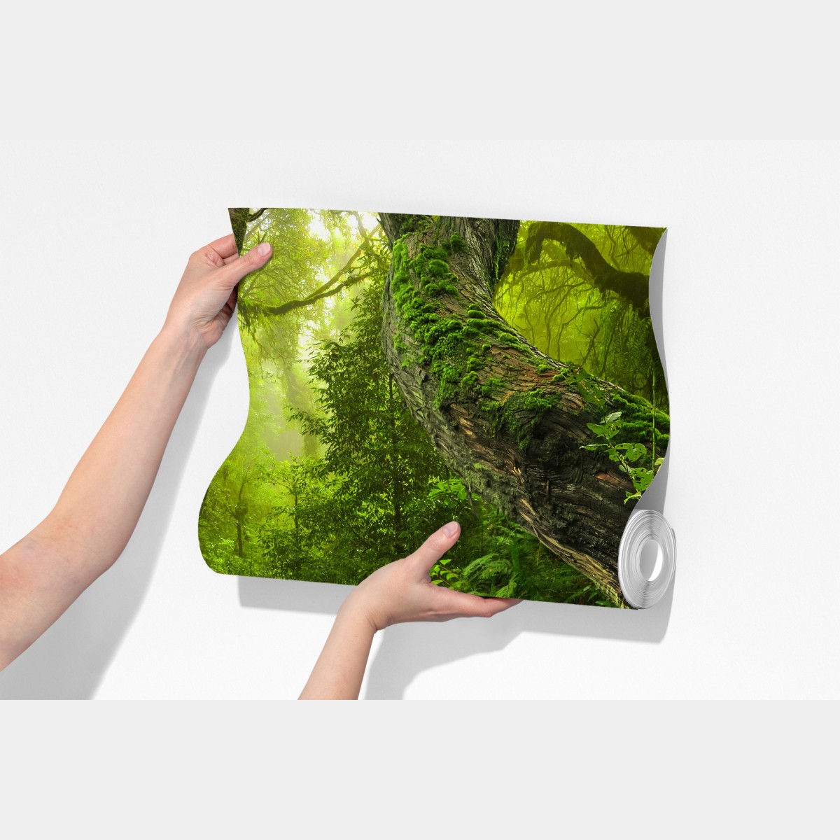 Fototapeta mchy i strumień w porannym świetle – Wallissimo® Fototapeta mchy i strumień w porannym świetle – Wallissimo®