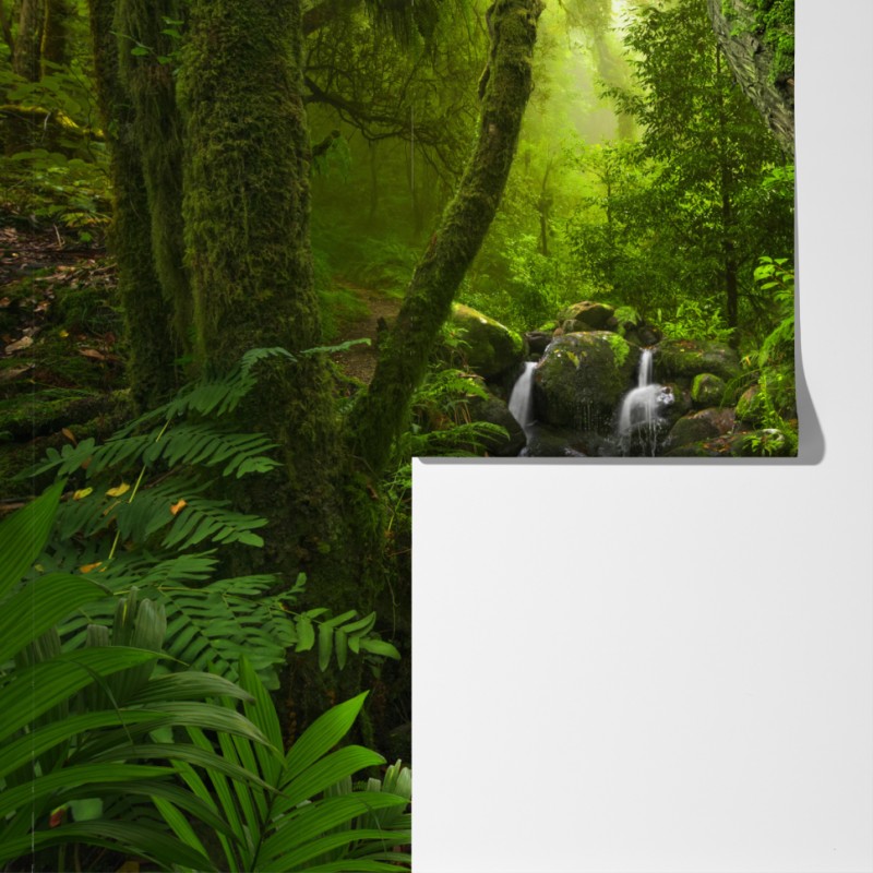 Fototapeta mchy i strumień w porannym świetle – Wallissimo® Fototapeta mchy i strumień w porannym świetle – Wallissimo®