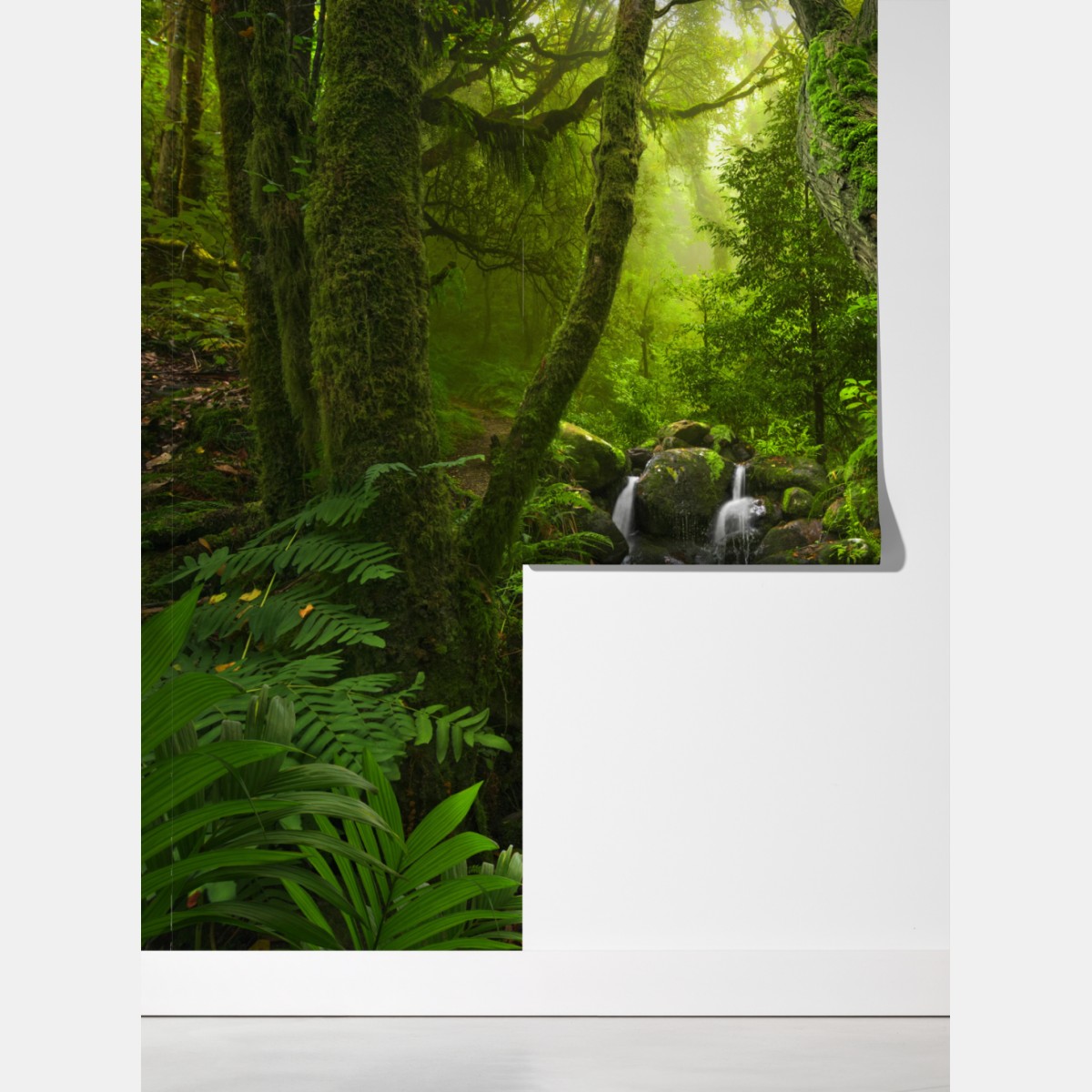 Fototapeta mchy i strumień w porannym świetle – Wallissimo® Fototapeta mchy i strumień w porannym świetle – Wallissimo®