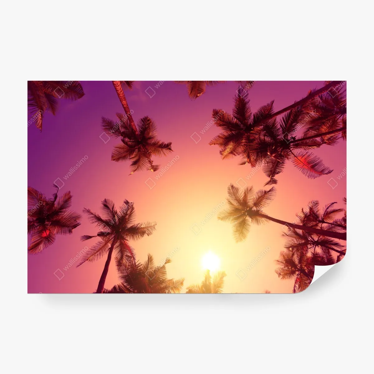 Fototapeta tropikalny zachód słońca z sylwetkami palm – Wallissimo® Fototapeta tropikalny zachód słońca z sylwetkami palm – Wallissimo®