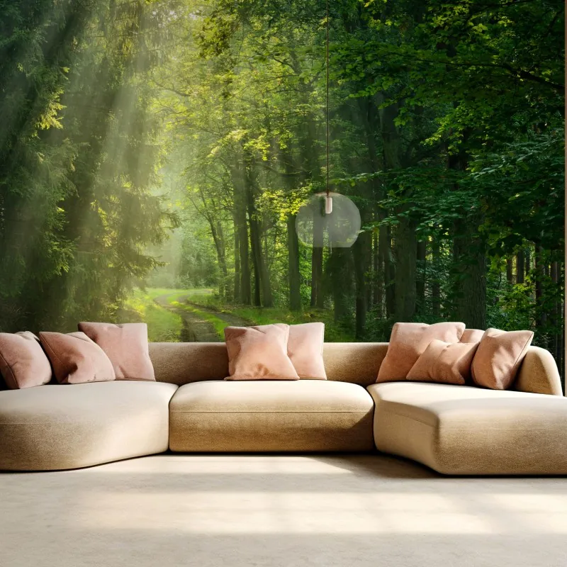 Fototapeta słoneczna ścieżka w lesie