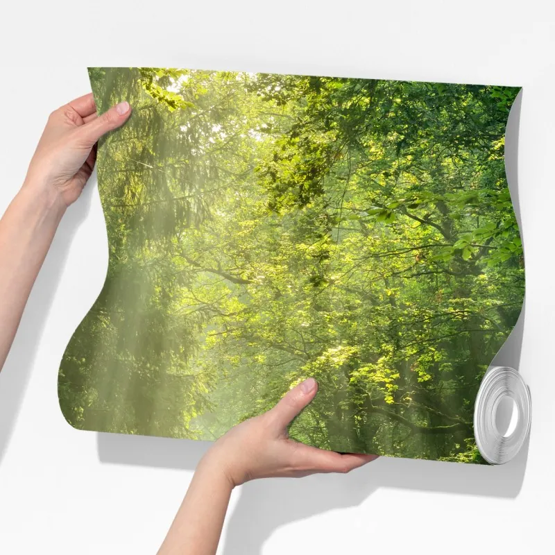 Fototapeta słoneczna ścieżka w lesie – Wallissimo® Fototapeta słoneczna ścieżka w lesie – Wallissimo®