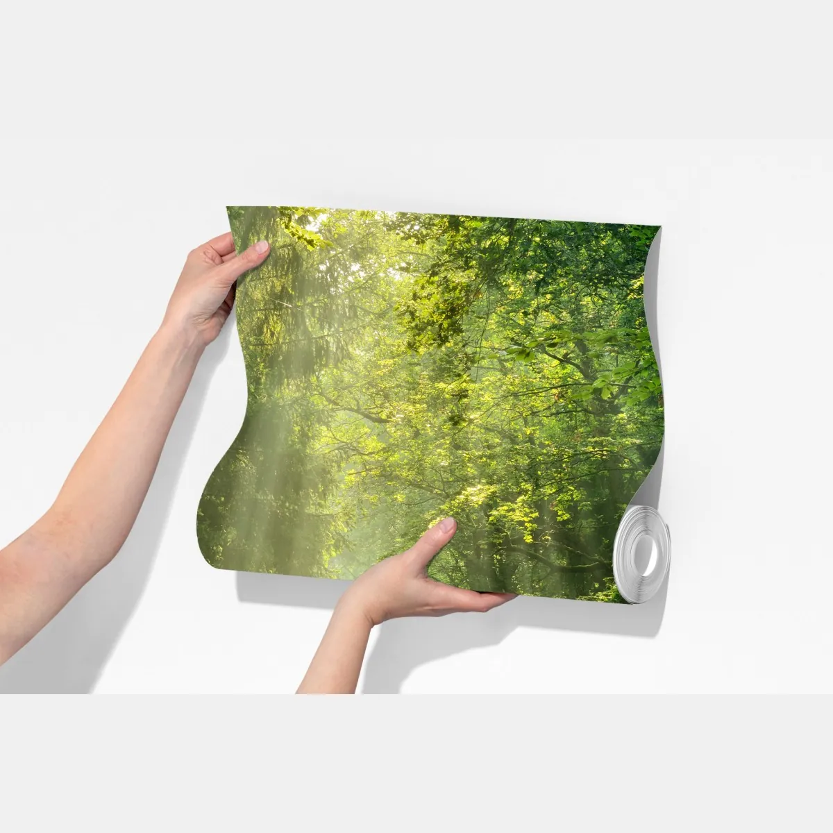 Fototapeta słoneczna ścieżka w lesie – Wallissimo® Fototapeta słoneczna ścieżka w lesie – Wallissimo®