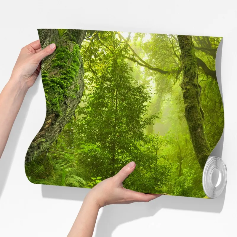 Fototapeta bujny zielony las z potokiem – Wallissimo® Fototapeta bujny zielony las z potokiem – Wallissimo®