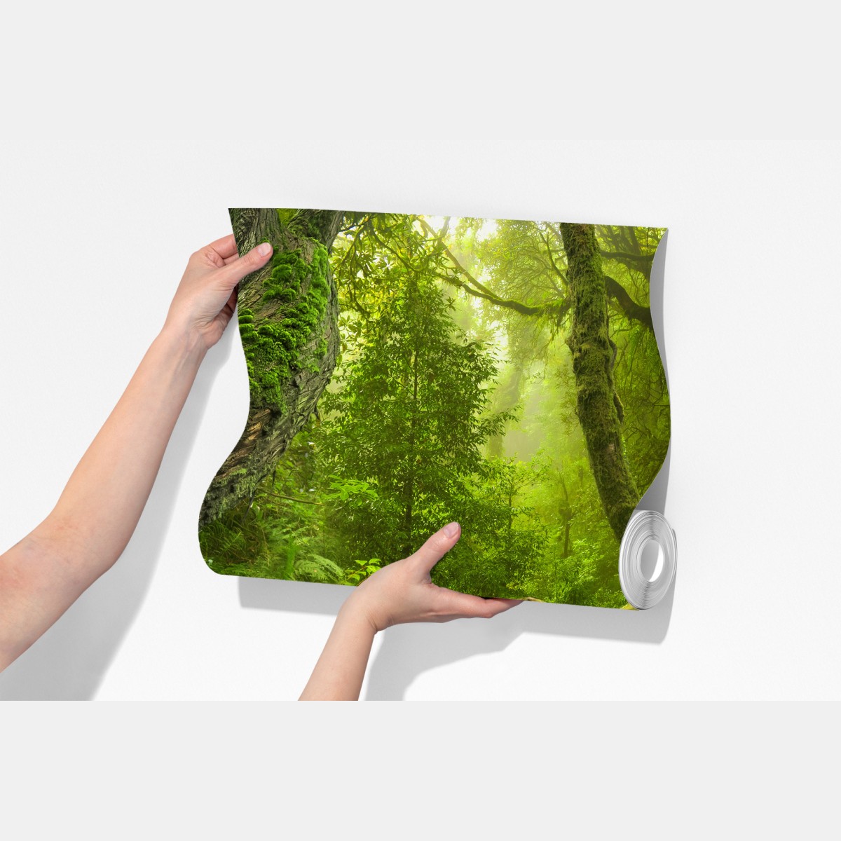 Fototapeta bujny zielony las z potokiem – Wallissimo® Fototapeta bujny zielony las z potokiem – Wallissimo®