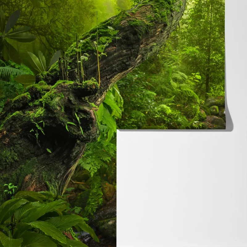 Fototapeta bujny zielony las z potokiem – Wallissimo® Fototapeta bujny zielony las z potokiem – Wallissimo®