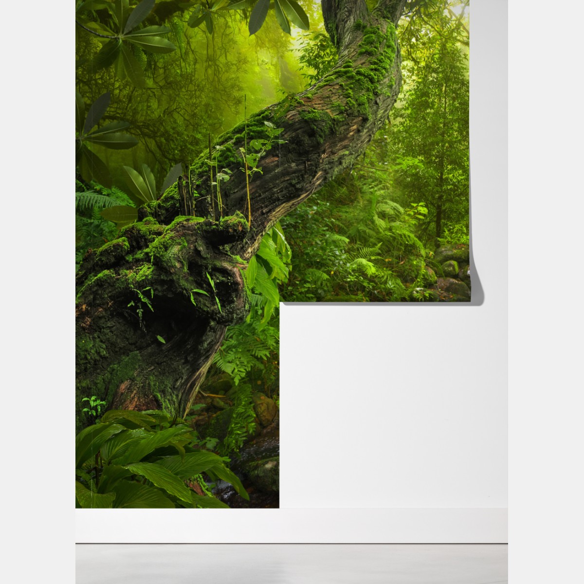 Fototapeta bujny zielony las z potokiem – Wallissimo® Fototapeta bujny zielony las z potokiem – Wallissimo®